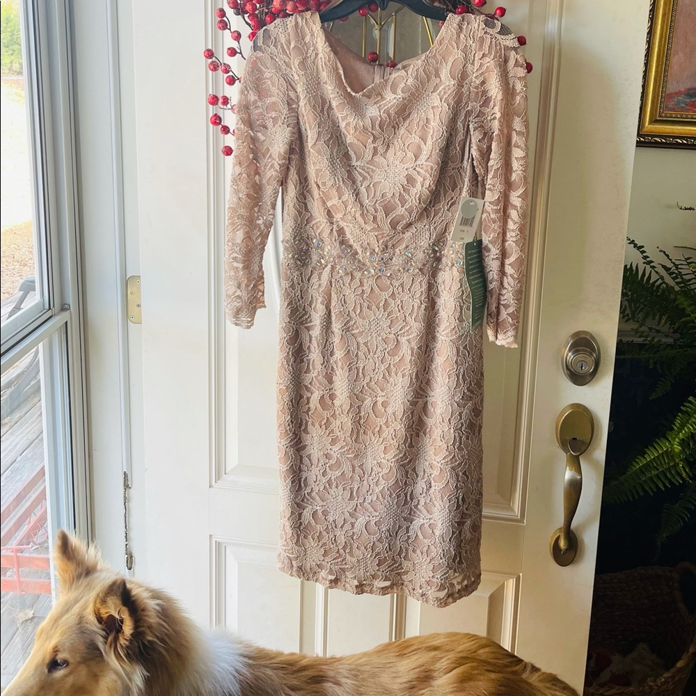 Brand New, Never Worn and with tags Holiday/ Cocktail dress 👗